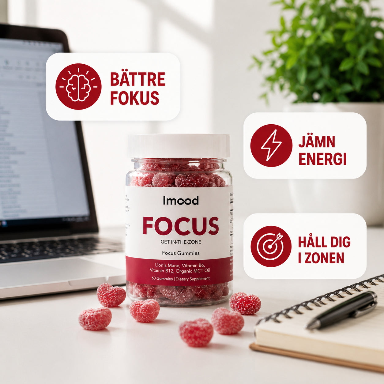 Focus Gummies